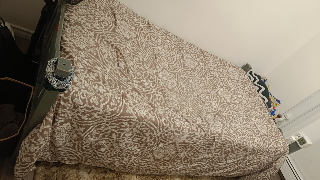 Twin Size mattress with frame