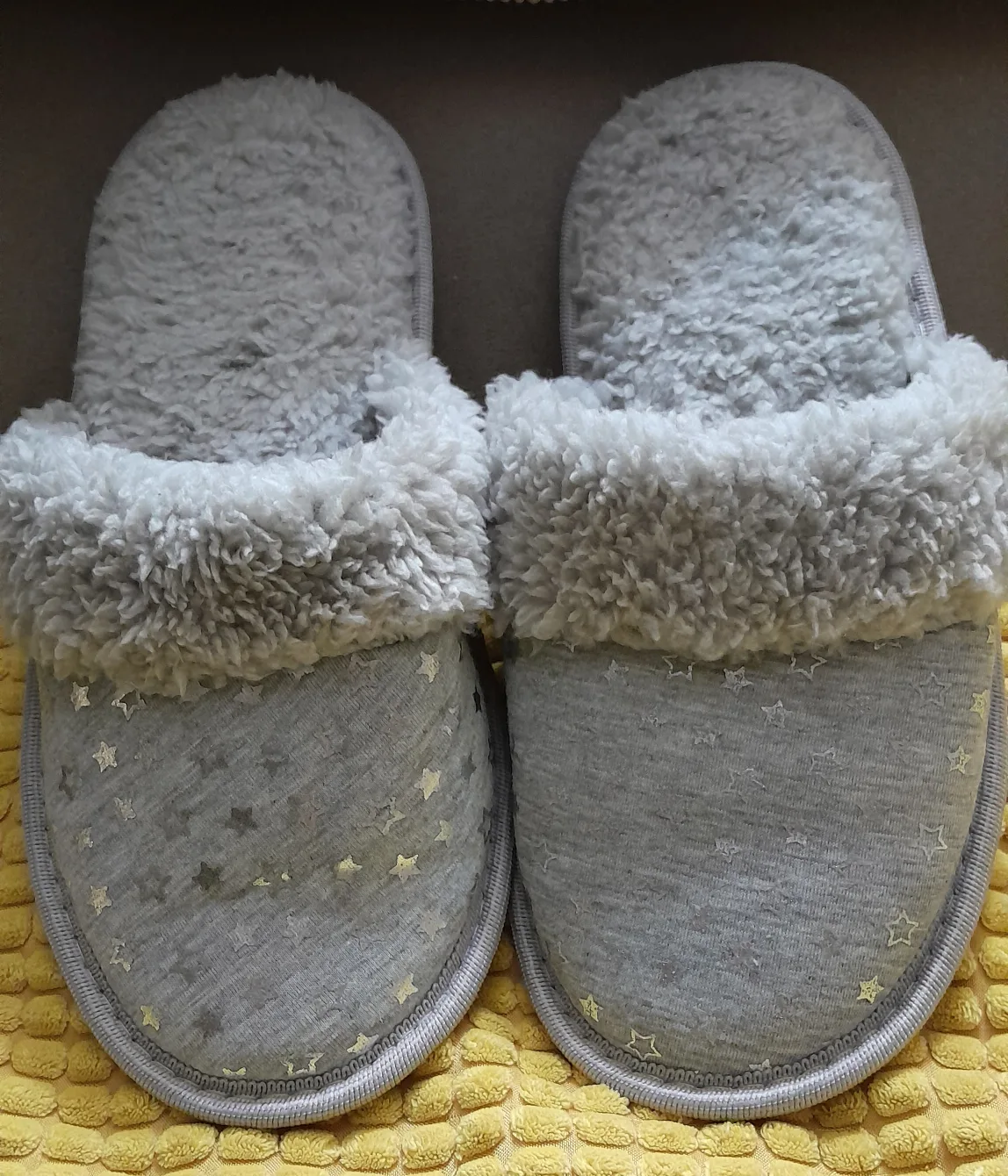 Cozy Fuzzy Slippers . image indicator(2)