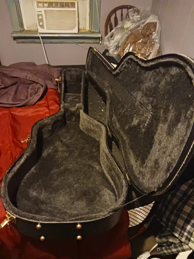 acoustic guitar case....full size thumbnail