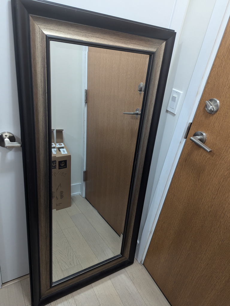 Full Length Mirror with Black Frame