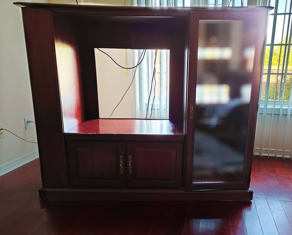 TV Entertainment Media Unit