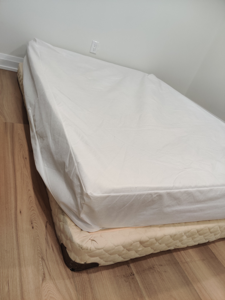 Queen Box Spring with Mattress
