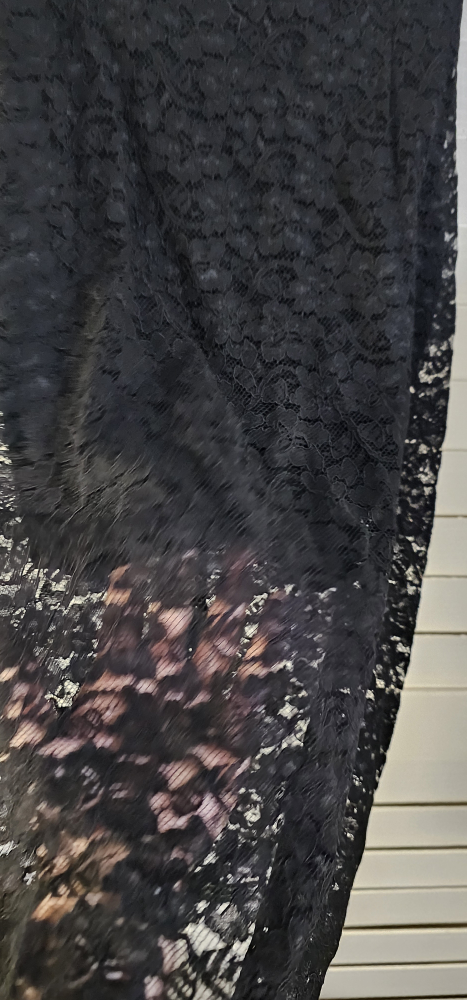 Aritzia Babaton Lace black Skirt Size 00 - photo 4