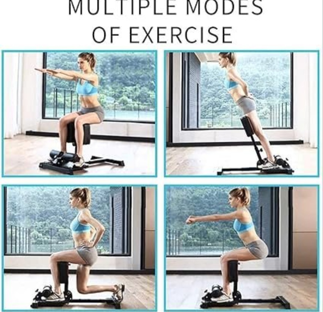 Sissy Squat & Back Extension Machine - photo 4