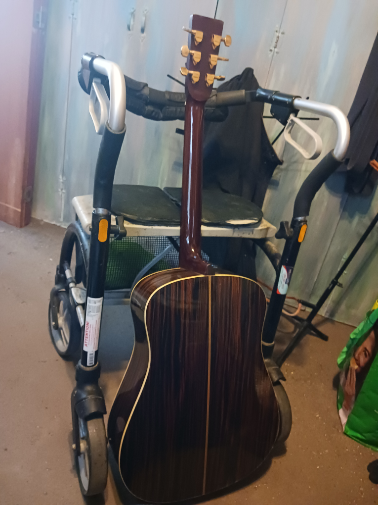 acoustic guitar.....Samick - photo 3