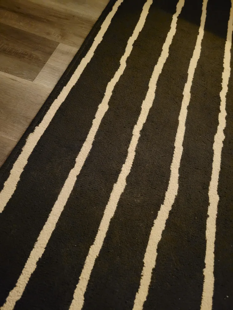 Black and White Striped Rug image indicator(2)