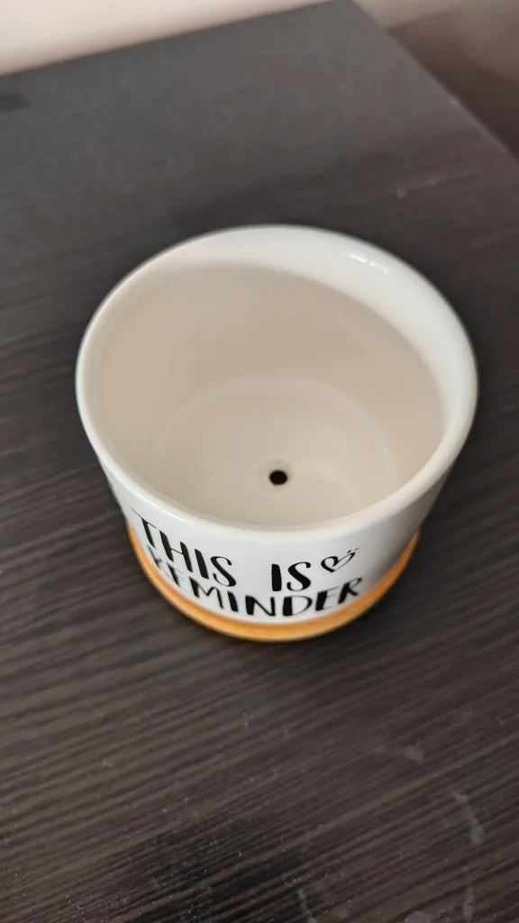 3 x Ceramic Pots with Wooden Base image indicator(4)