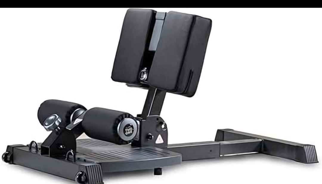 Sissy Squat & Back Extension Machine