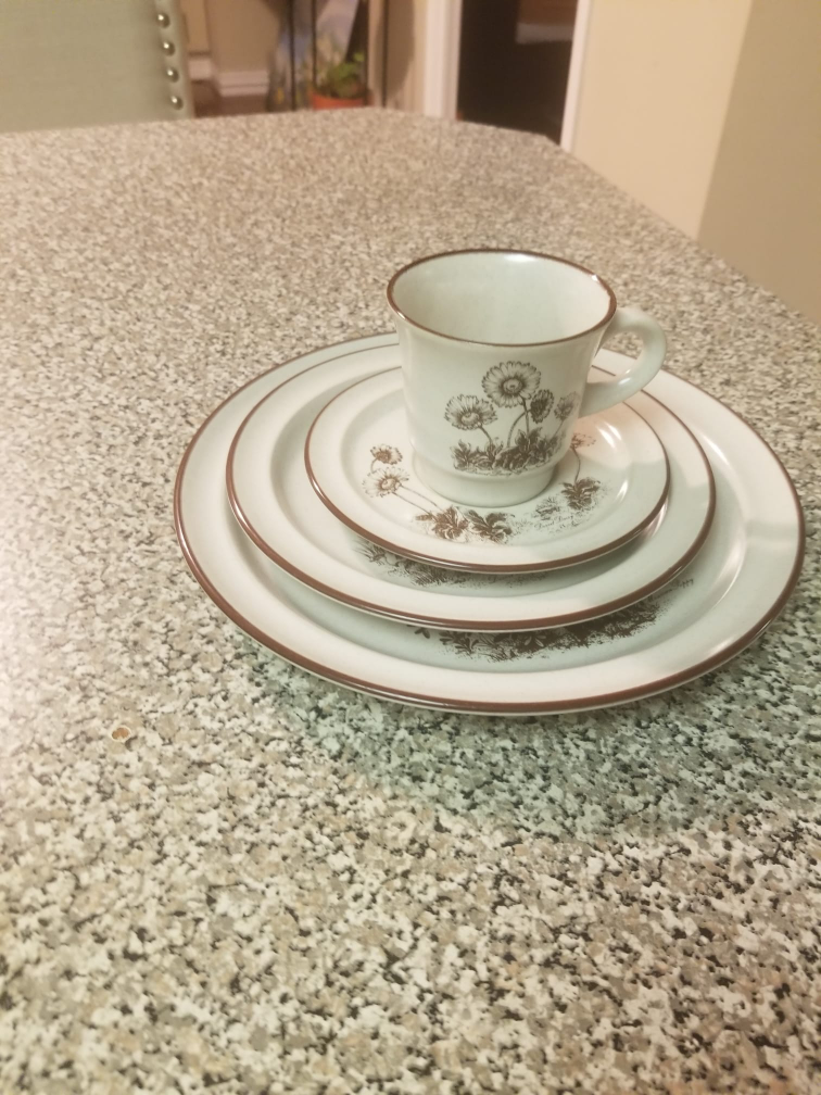 Vintage Noritake Flowers  Stoneware Daisy Brown Band