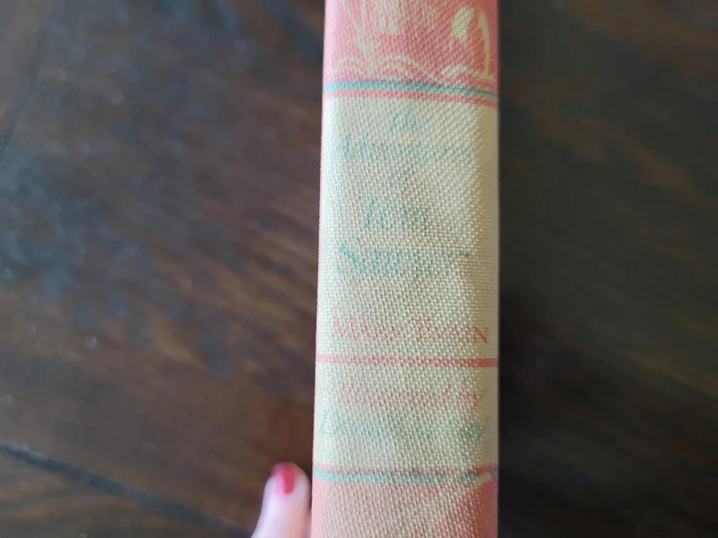 The Adventures of Tom Sawyer - Illustrated Junior Library image indicator(5)