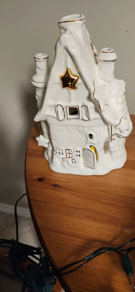 Christmas lights and decor image indicator(3)