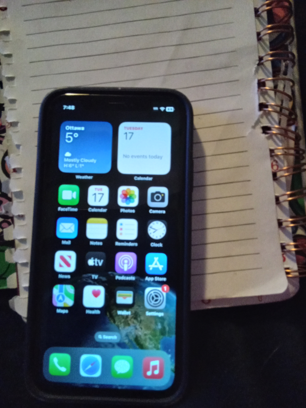 iPhone XR - photo 3