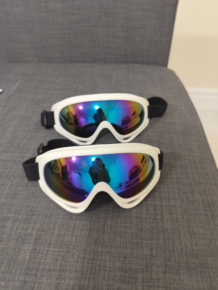 Ski Goggles