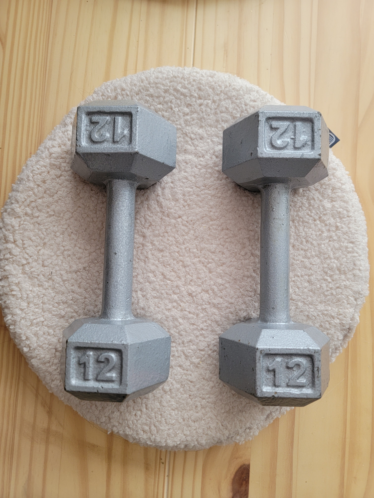 12 lb Dumbbells