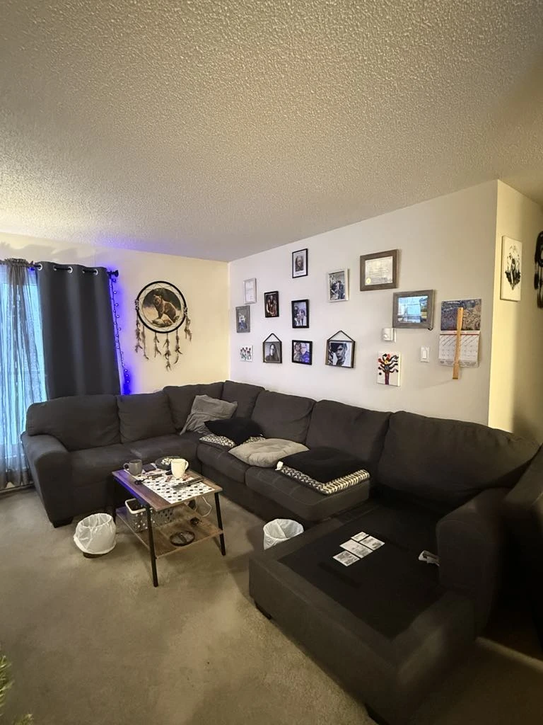 Dark Grey Sectional Couch