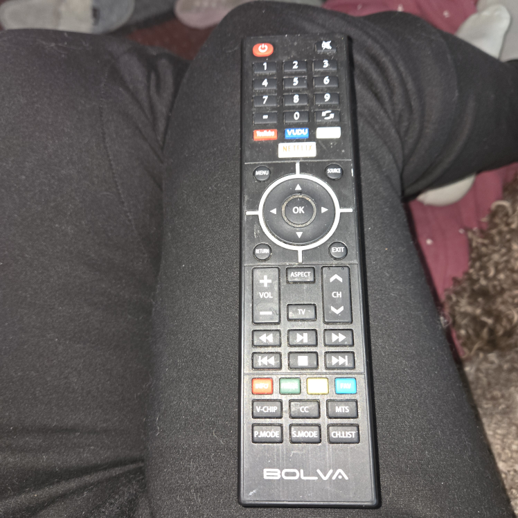 FREE 50" Bolva TV & Remote (Not Working)