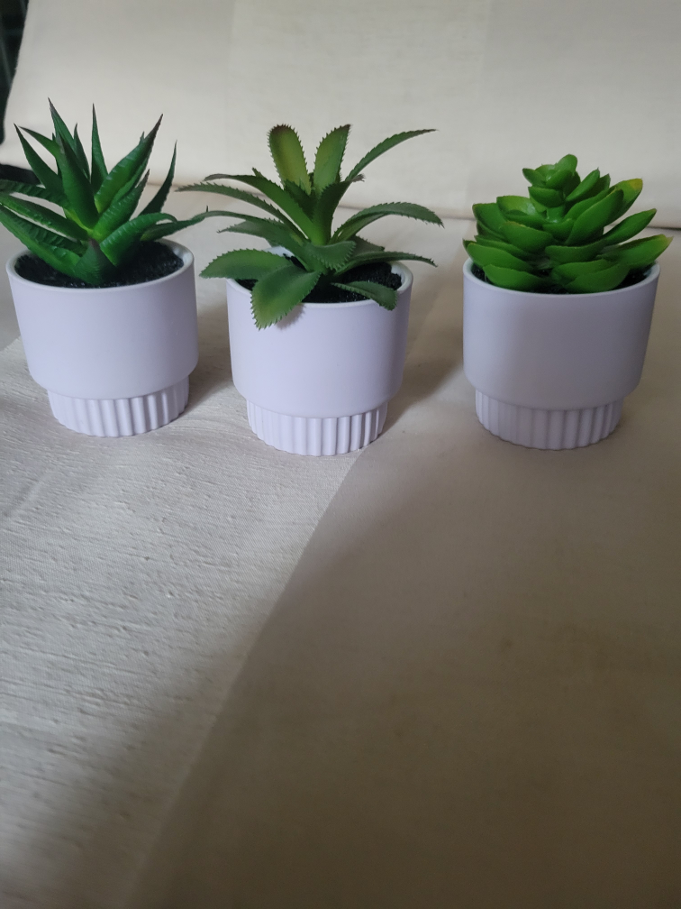 Set of 3 Artificial Succulents