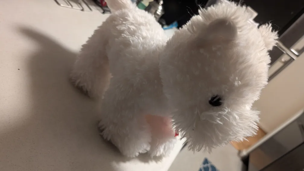 White Plush Toy image indicator(3)