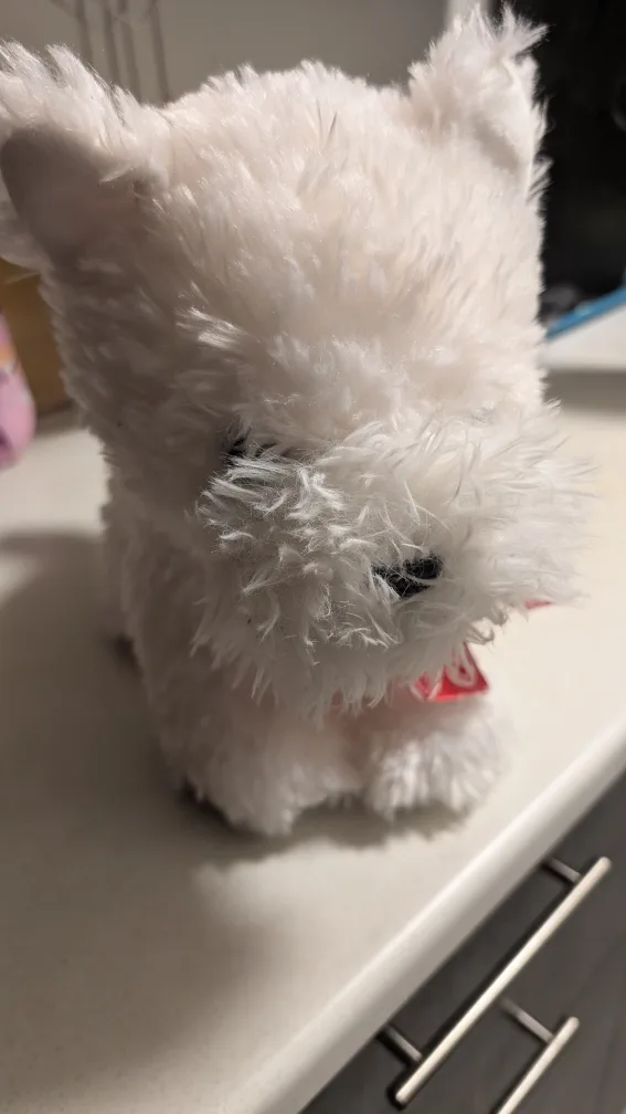 White Plush Toy image indicator(4)