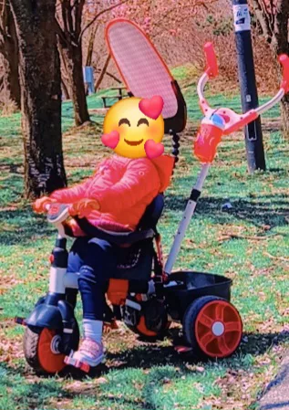 kids/baby tricycle thumbnail