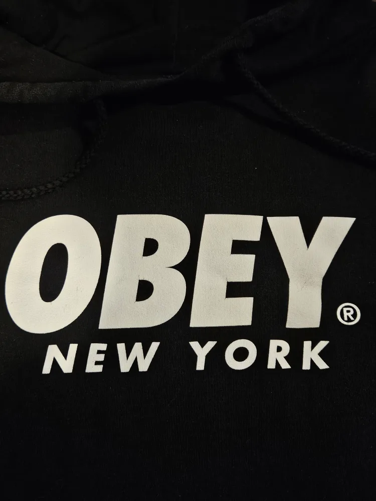 OBEY Block Hoodie image indicator(2)