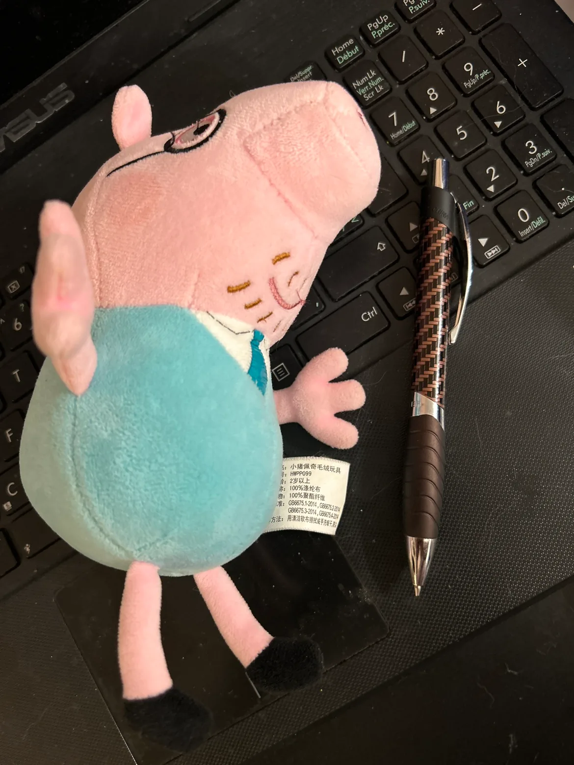 Peppa Pig Daddy Pig Plush Toy image indicator(3)