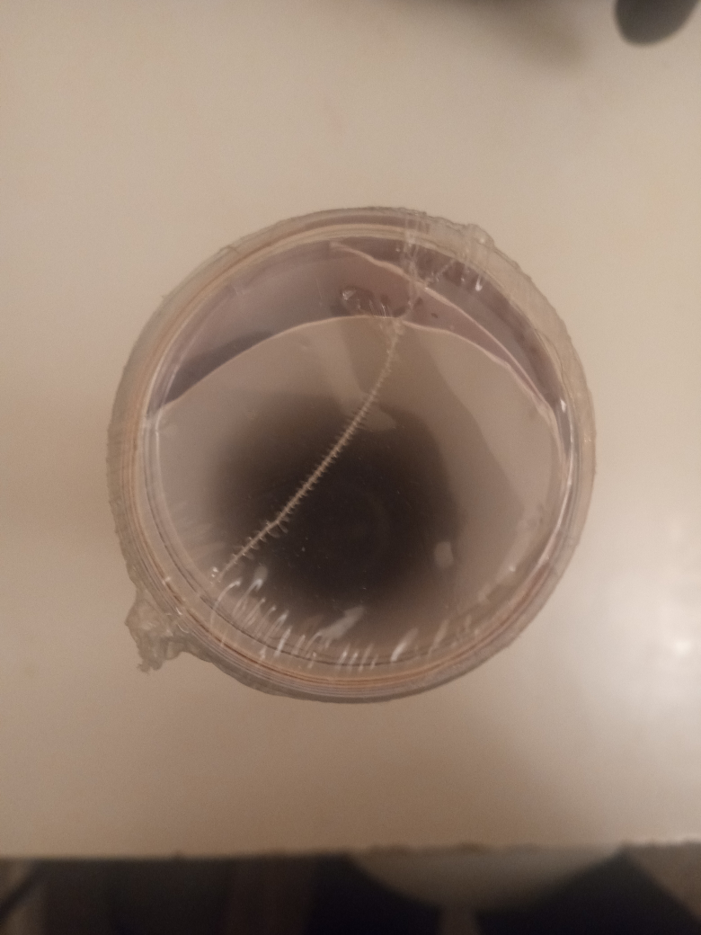 Fractions and Percentages Chart Poster #freecycle - photo 3