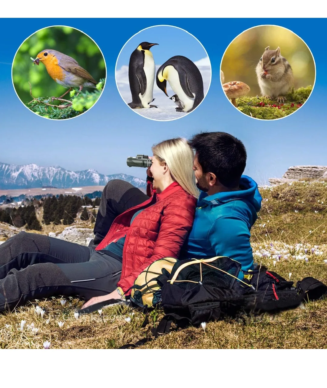 Telescope with Tripod and Phone Adapter image indicator(8)