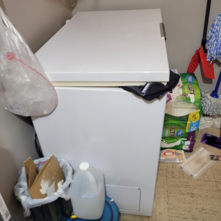 White Chest Freezer - photo 4