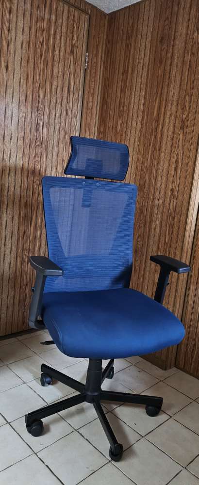 Blue Mesh Office Chair with Headrest - photo 4