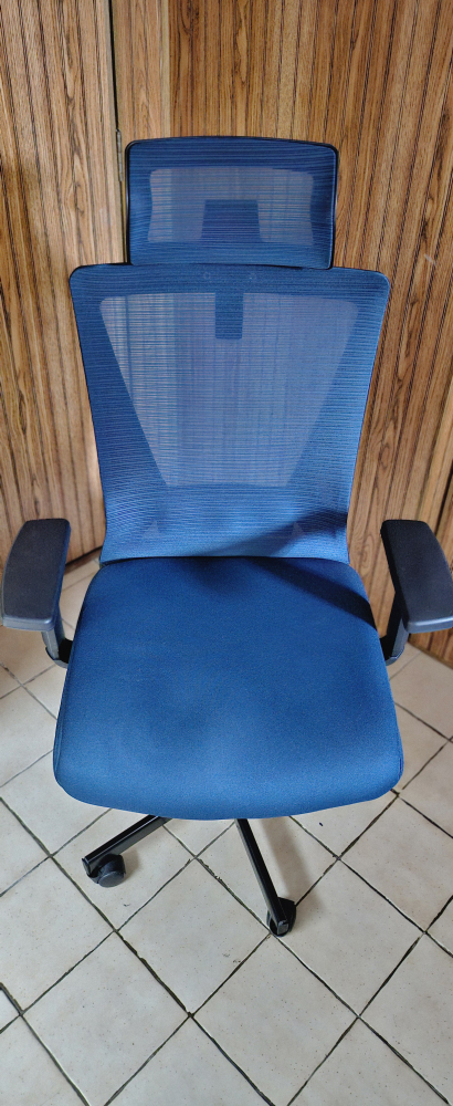 Blue Mesh Office Chair with Headrest - photo 5