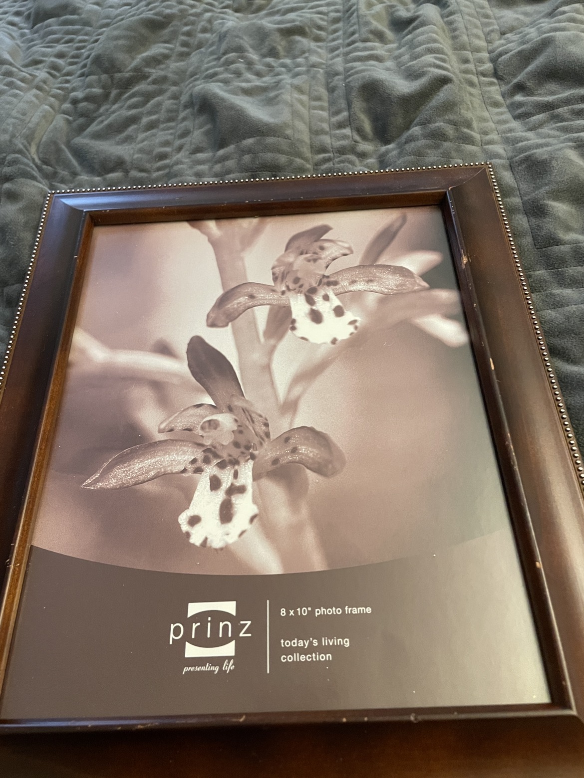 Picture Frame 8x10
