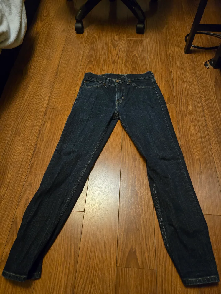 Levi Strauss Pants [W:31,L:32] image indicator(2)
