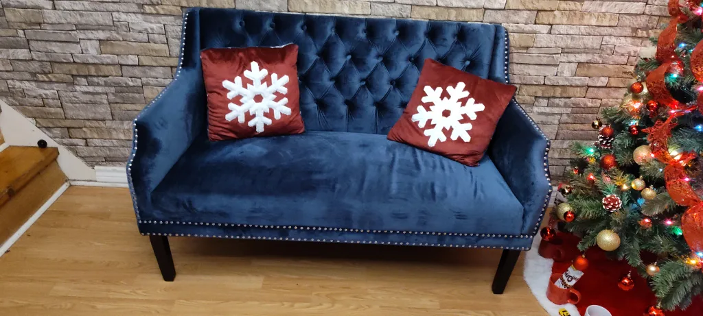 Velvet sofa image indicator(2)