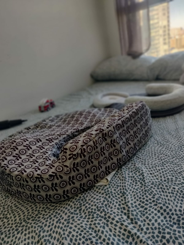 Nursing Pillow and baby lounger #freecycle - photo 2