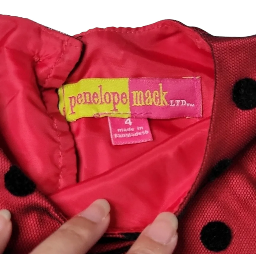Red Dress w Black Velvet Polka-dots + Red Satin Roses Size 4 image indicator(4)