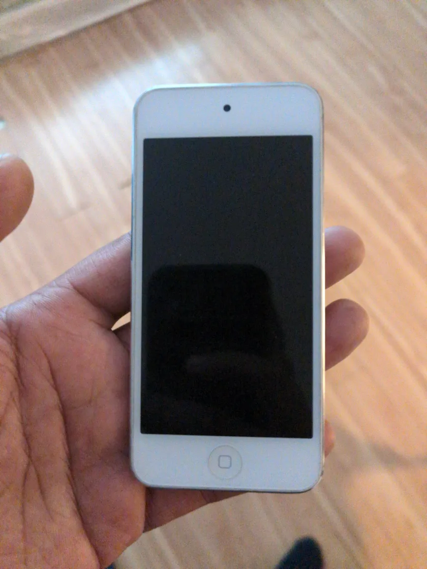 Apple iPod Touch 6th Generation image indicator(8)