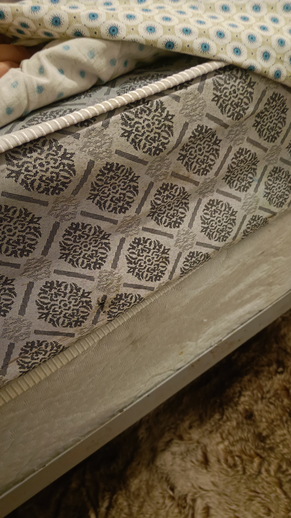 Twin Size mattress with frame - photo 3