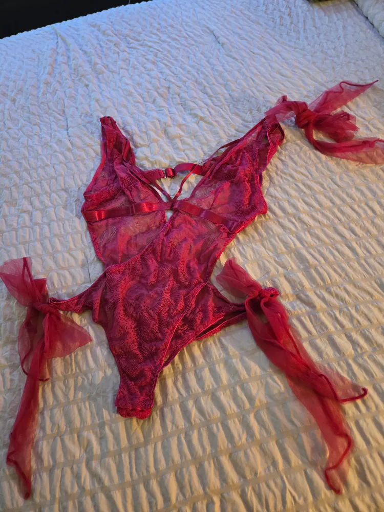 Lace Bodysuit with Tying Sleeves thumbnail