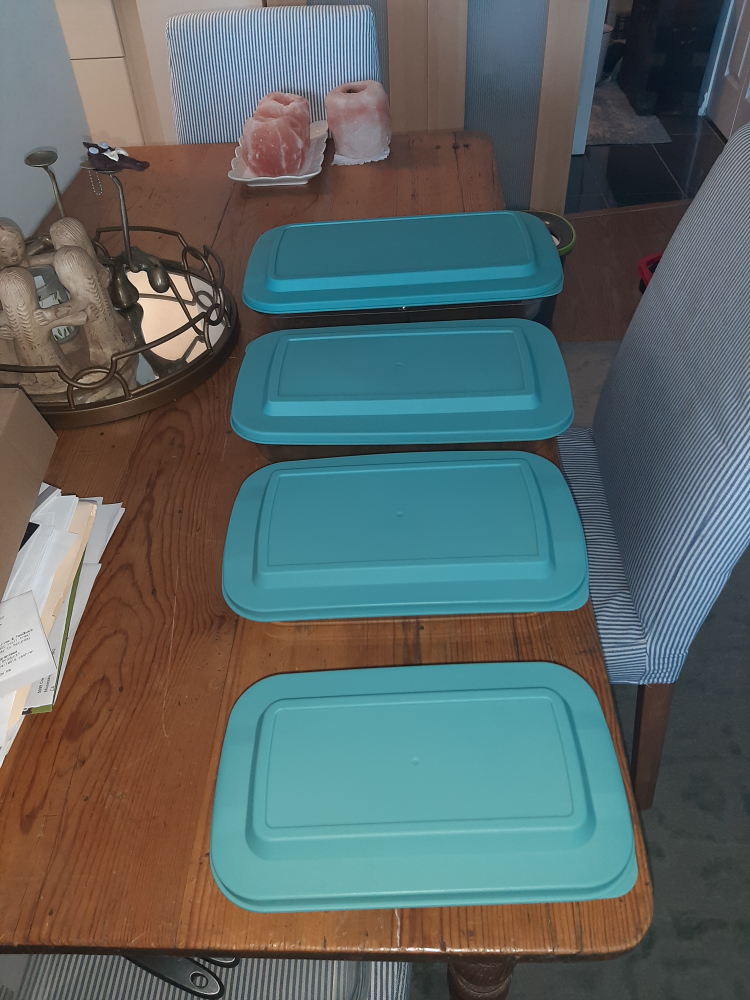 Pyrex Glass Baking Dishes with Lids - photo 2
