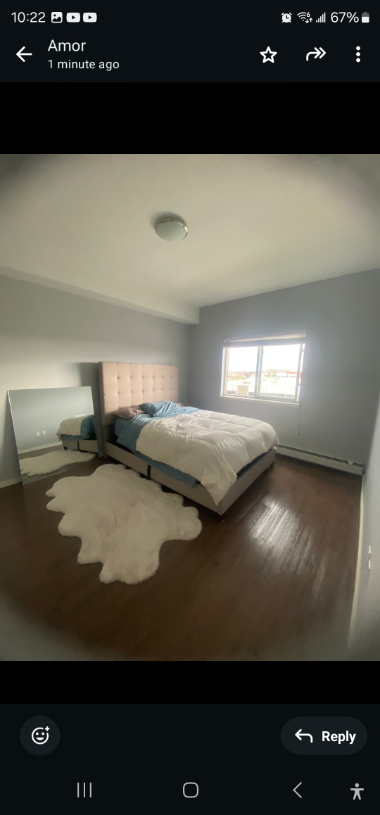 Queen size bed frame with box and mattress