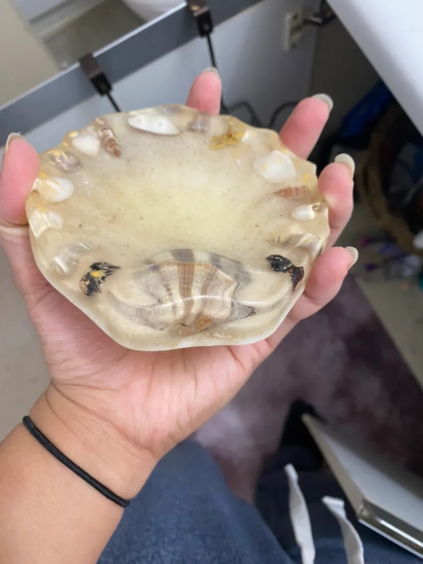 Seashell soap bar holder image indicator(2)