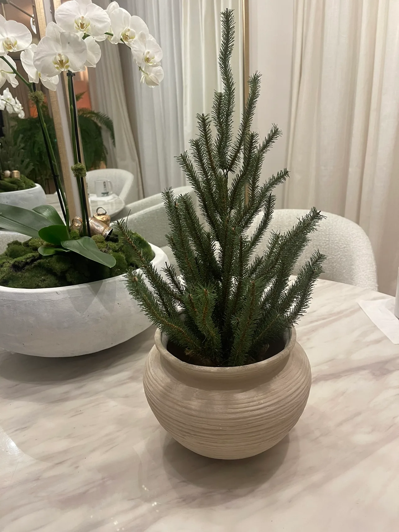 Christmas Winter Tree in Pot thumbnail