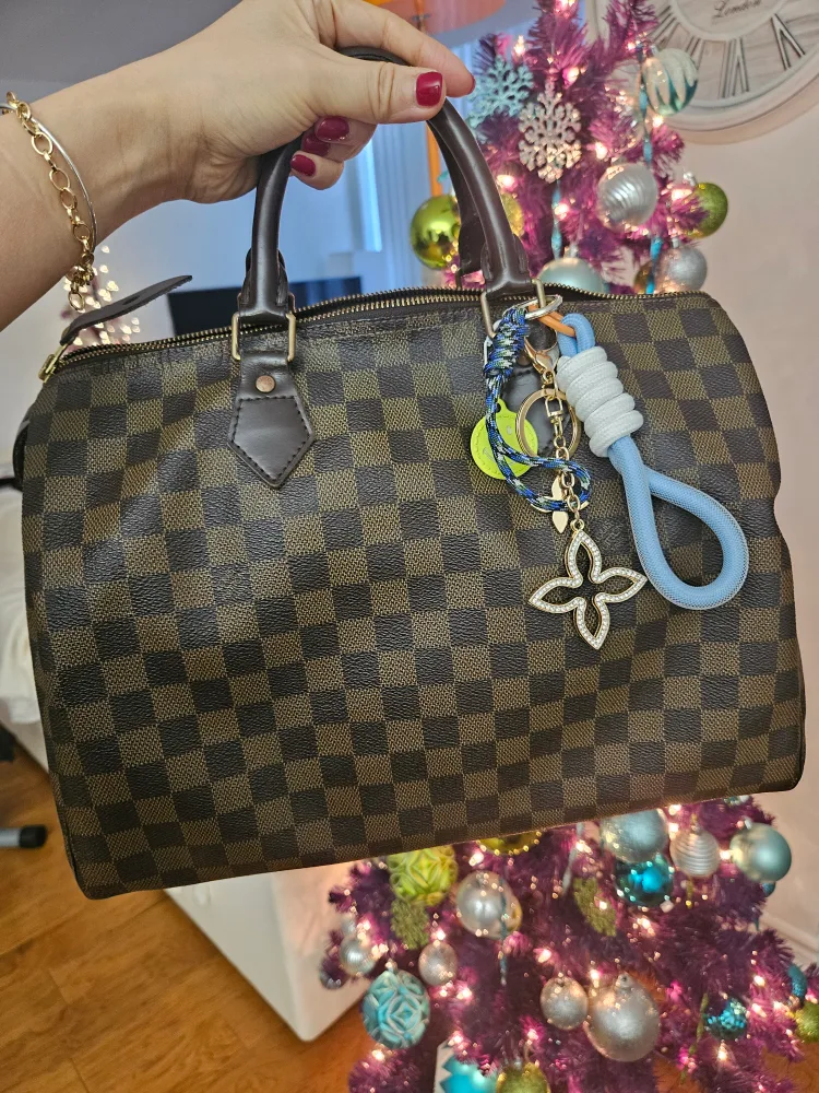 Louis Vuitton Speedy 30 image indicator(4)