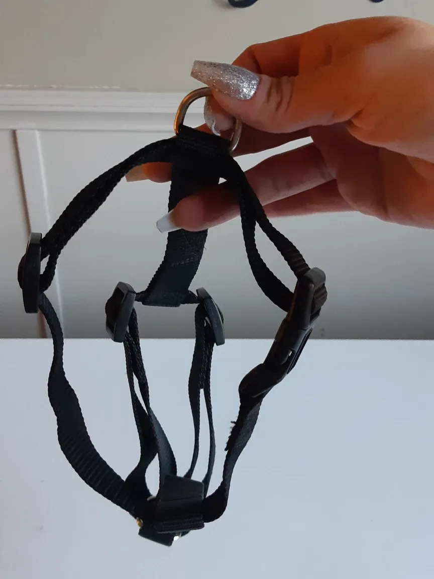 Medium pullover dog harness - black image indicator(6)