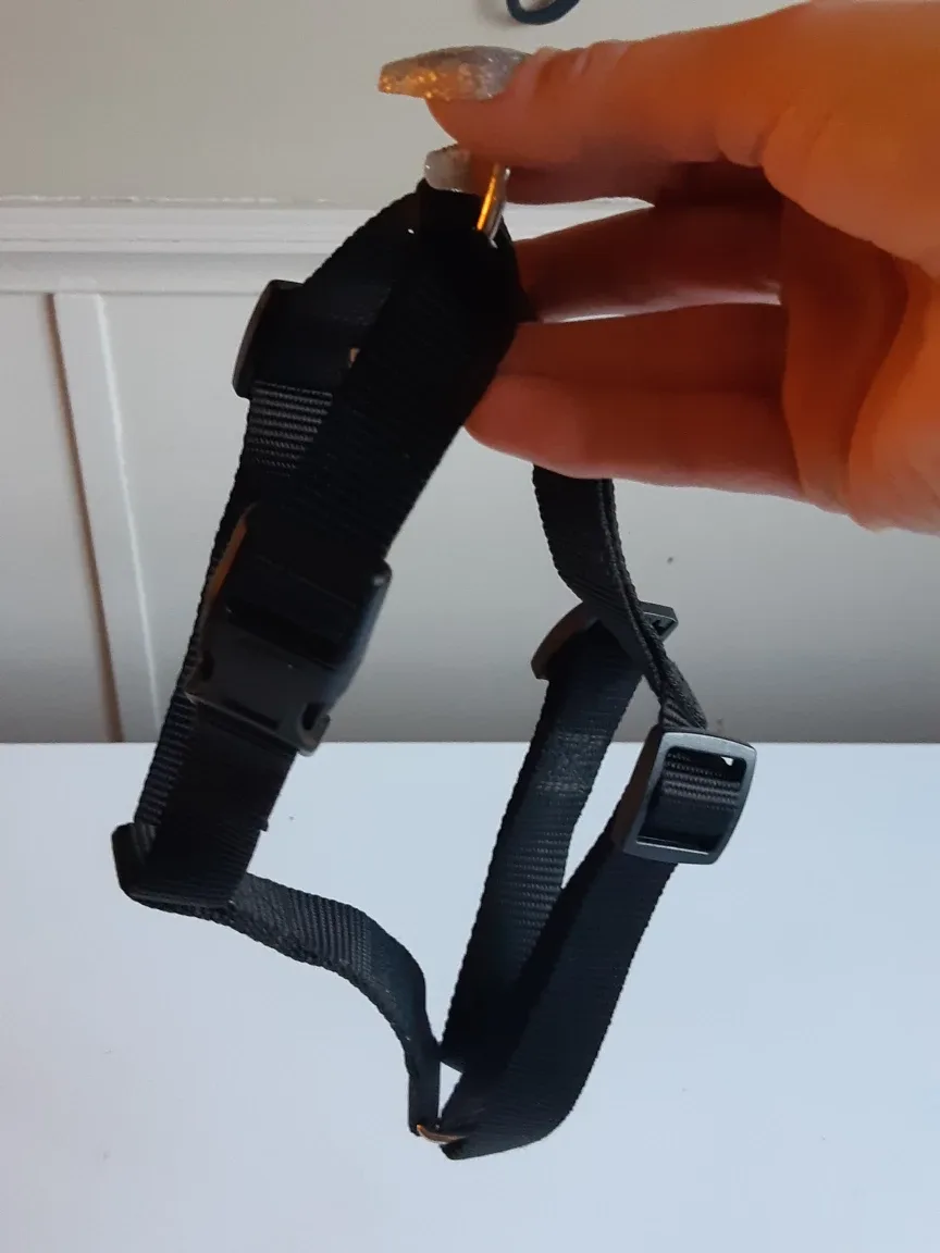 Medium pullover dog harness - black image indicator(8)