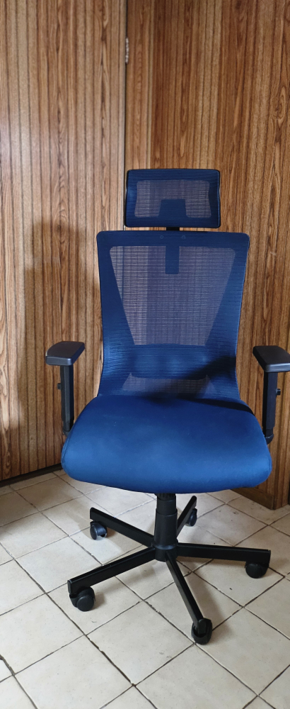 Blue Mesh Office Chair with Headrest