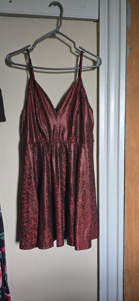 Red Sparkly Dress