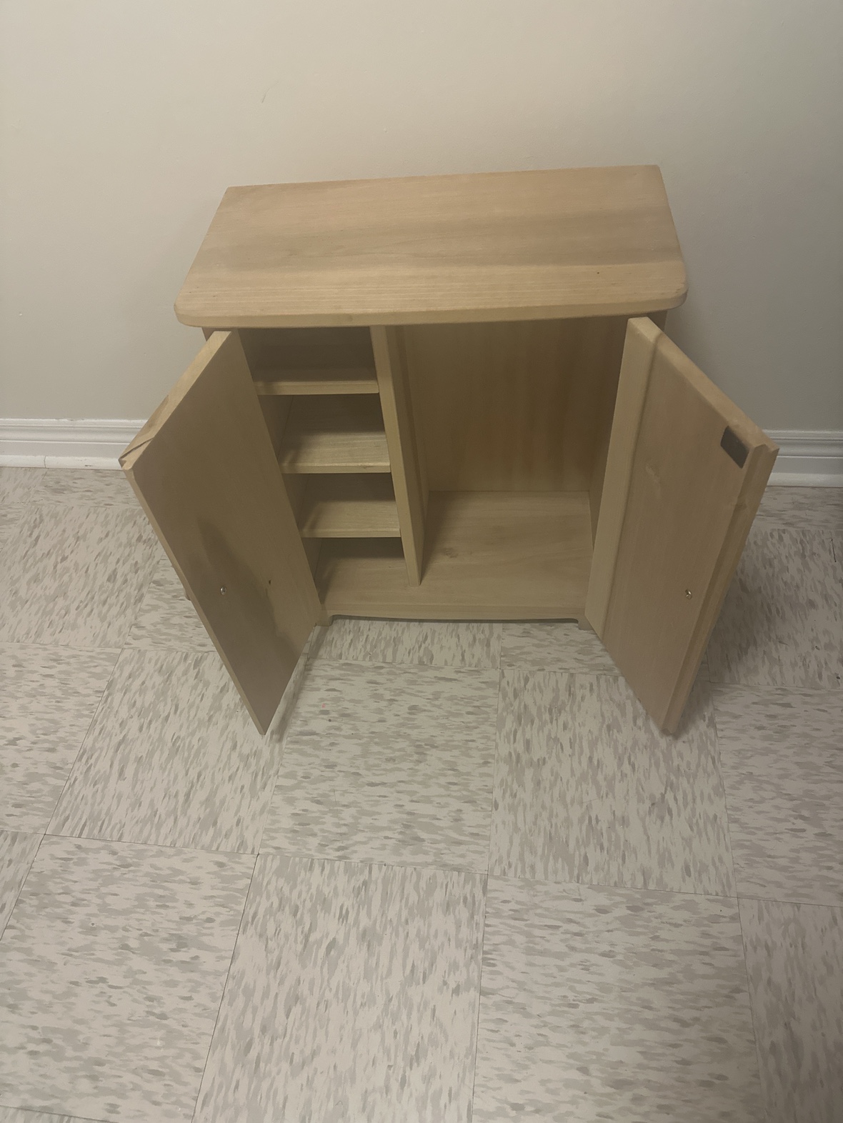 Wooden Cabinet with Doors