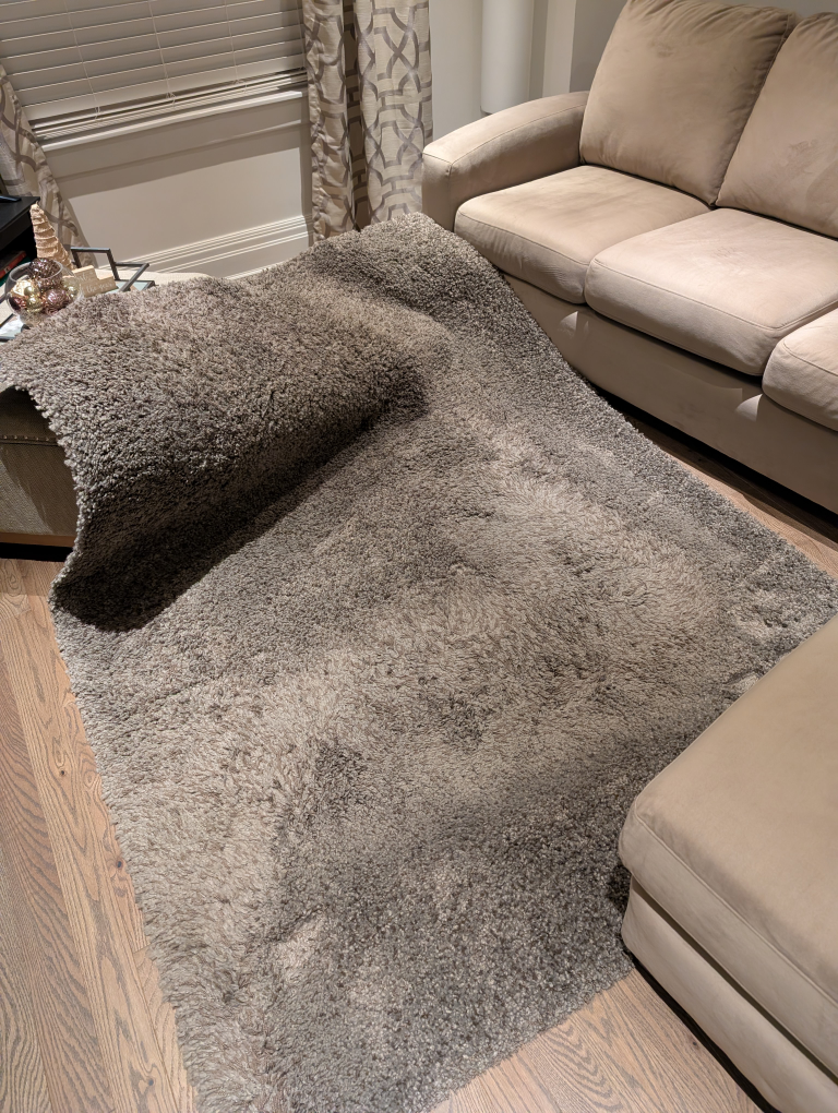 Large Shag Rug